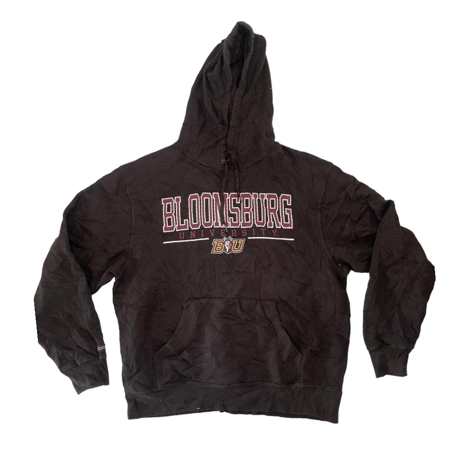 Vintage 2025 college hoodies